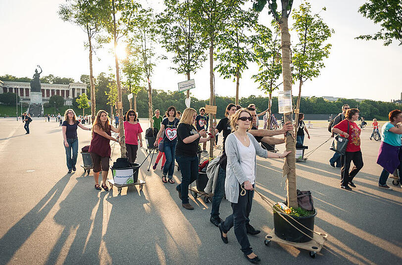 Spektakuläre Aktion: Große Bäume wandern über die Theresienwiese.