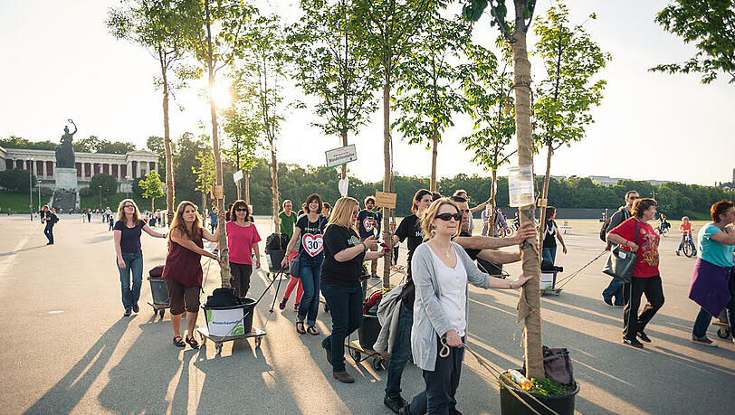 Spektakuläre Aktion: Große Bäume wandern über die Theresienwiese. Spektakuläre Aktion: Große Bäume wandern über die Theresienwiese.