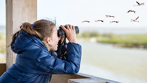 Birding bietet einen starken Kontrast zum hektischen Alltag und liefert schnell Erfolgserlebnisse.