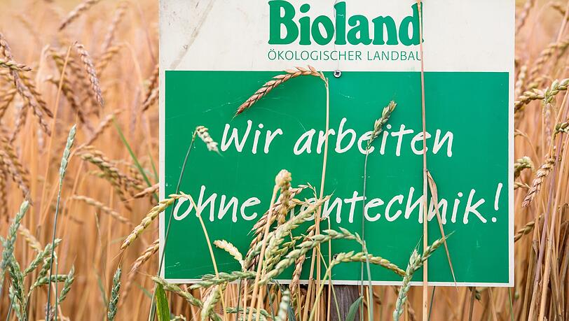 Ein Schild mit der Aufschrift "Bioland - Wir arbeiten ohne Gentechnik" in einem Dinkelfeld.
