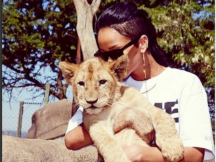 Das ist wahre Liebe: Rihanna und "ihr" Löwenbaby