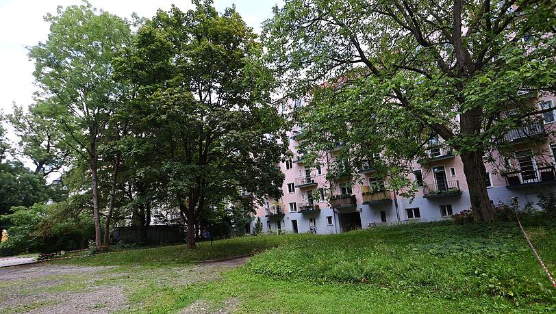 Noch ist es ein Hinterhof-Idyll: Hier soll der Neubau mit Penthouse-Wohnungen hin. Kinder dürfen schon nicht mehr in dem Garten spielen. Noch ist es ein Hinterhof-Idyll: Hier soll der Neubau mit Penthouse-Wohnungen hin. Kinder dürfen schon nicht mehr in dem Garten spielen.