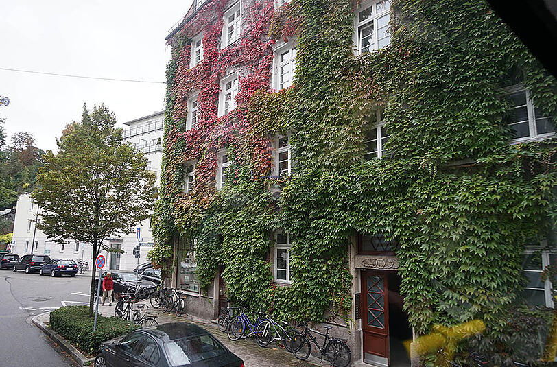 Komplett mit Wein bewachsen ist auch dieses Haus in der Au.