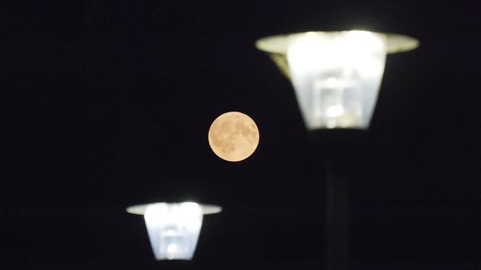 Ein "Supermond" leuchet hell und groß am Nachthimmel.