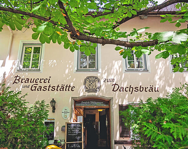 Dachsbr&auml;u in Weilheim.