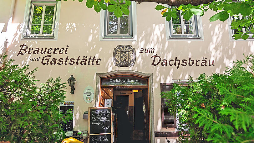 Dachsbr&auml;u in Weilheim.