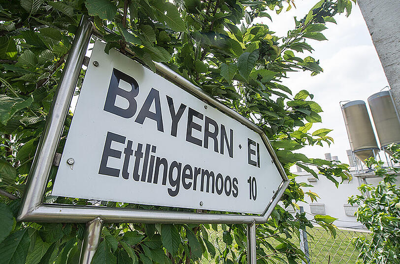 Das Betriebsgelände der Firma Bayern-Ei nahe Wallersdorf. Hier werden momentan keine Eier produziert.