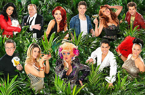 Los geht unser TV-Jahresrückblick 2013 mit einem Quoten-Renner: Das Dschungelcamp lockte zum Auftakt 7,77 Millionen Zuschauer vor die Fernseher. Die "Ekel-Show" startete erstmals ohne den verstorbenen Dirk Bach.