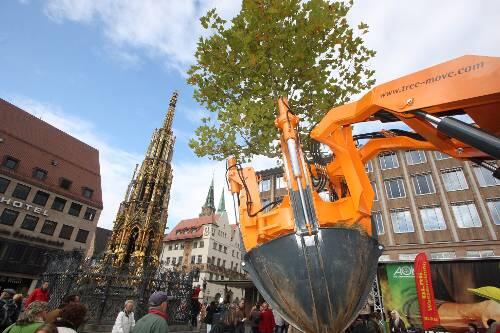 Leistungsschau auf dem Hauptmarkt: Mit diesem Spezialgerät können Bäume problemlos verpflanzt werden.