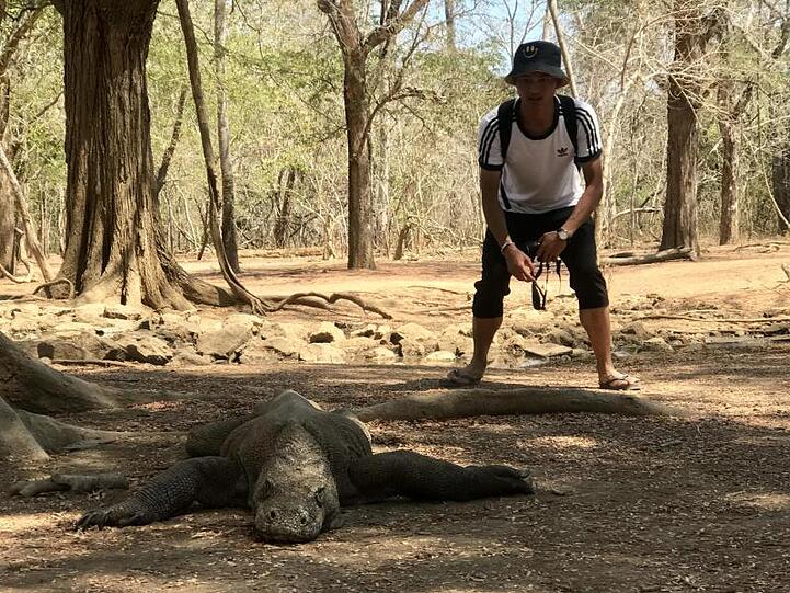 Ein Tourist nähert sich einem Komodowaran. Rund 1300 Komodo-Drachen gibt es auf der kleinen Insel Komodo noch.
