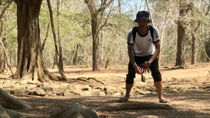 Ein Tourist nähert sich einem Komodowaran. Rund 1300 Komodo-Drachen gibt es auf der kleinen Insel Komodo noch. Ein Tourist nähert sich einem Komodowaran. Rund 1300 Komodo-Drachen gibt es auf der kleinen Insel Komodo noch.