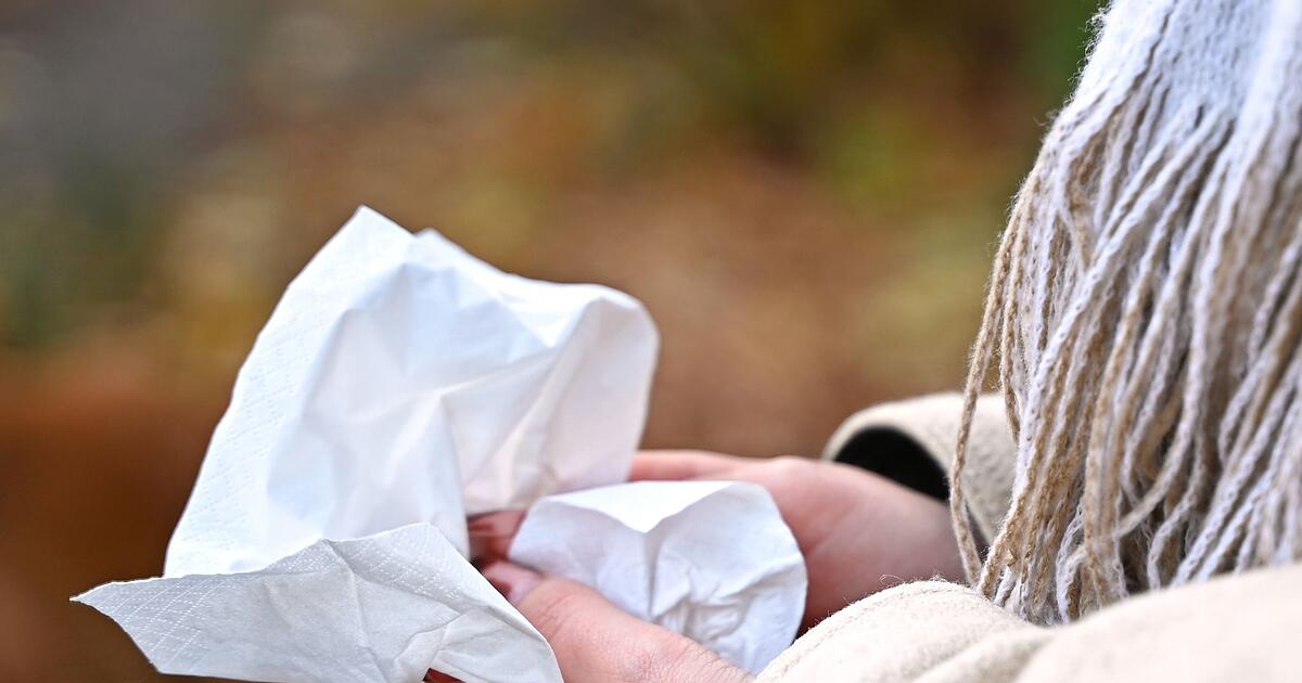 Grippewelle-rollt-an-Dieses-Menschen-sollten-sich-laut-RKI-impfen-lassen