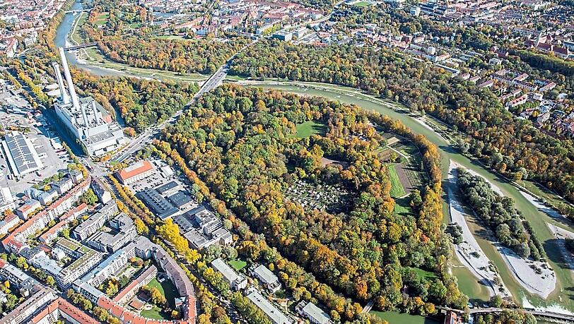 Der Baumbestand am Flaucher wird ständig überprüft. Der Baumbestand am Flaucher wird ständig überprüft.