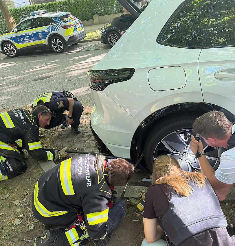 Polizei und Feuerwehr mit vereinten Kräften. Sie versuchen die Schlange aus dem Radkasten zu befreien. Polizei und Feuerwehr mit vereinten Kräften. Sie versuchen die Schlange aus dem Radkasten zu befreien.