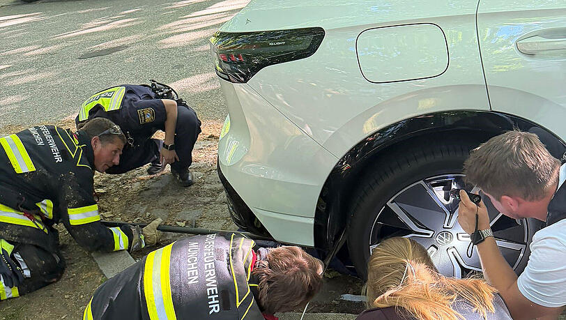 Polizei und Feuerwehr mit vereinten Kräften. Sie versuchen die Schlange aus dem Radkasten zu befreien. Polizei und Feuerwehr mit vereinten Kräften. Sie versuchen die Schlange aus dem Radkasten zu befreien.