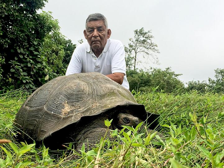 Die Riesenschildkröten auf den Galapagos-Inseln vor Ecuador waren Forschern schon lange bekannt, aber eine Neuentdeckung unter ihnen hat es jetzt in die "Top Ten" geschafft. Die rund 250 verbleibenden Mitglieder einer im Osten der Insel Santa Cruz lebenden Gruppe sind anders als zuvor gedacht eine eigene Art. Sie bekam den Namen Chelonoidis donfaustoi im Gedenken an einen Mitarbeiter des Nationalparks mit dem Spitznamen Don Fausto, der sich mehr als 40 Jahre lang um die Schildkröten gekümmert hatte.