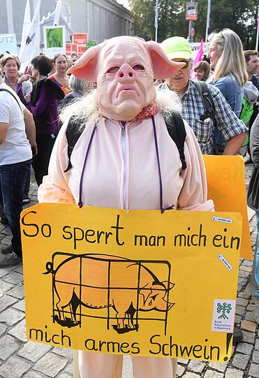 "Mia ham&rsquo;s satt": Die große Demo in München an diesem Samstag
