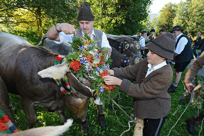 Tausende Schaulustige haben sich im Pfronten versammelt, um den prächtigen Auftrakt des diesjährigen Viehscheids zu bestaunen.