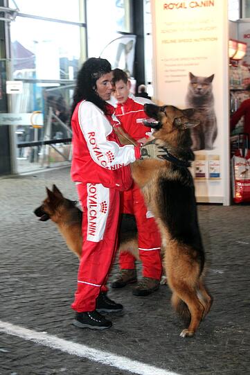 Hinterher gibt's ein Lob von Frauchen. Fragt sich nur, was macht die Katzenfutter-Werbung im Hintergrund?