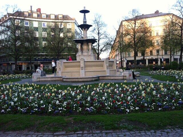 Am Weißenburger Platz blüht es.