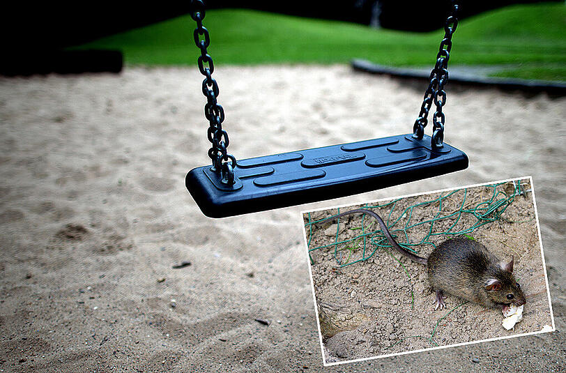 Ein Spielplatz im Glockenbachviertel ist derzeit wegen Ratten gesperrt.