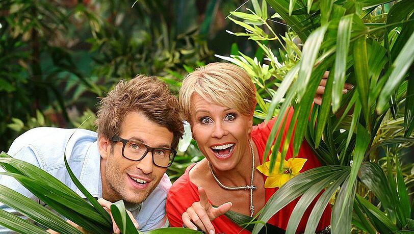 Die Moderatoren Daniel Hartwig und Sonja Zietlow freuen sich über jede Menge Stars - oder solche, die es werden wollen Die Moderatoren Daniel Hartwig und Sonja Zietlow freuen sich über jede Menge Stars - oder solche, die es werden wollen