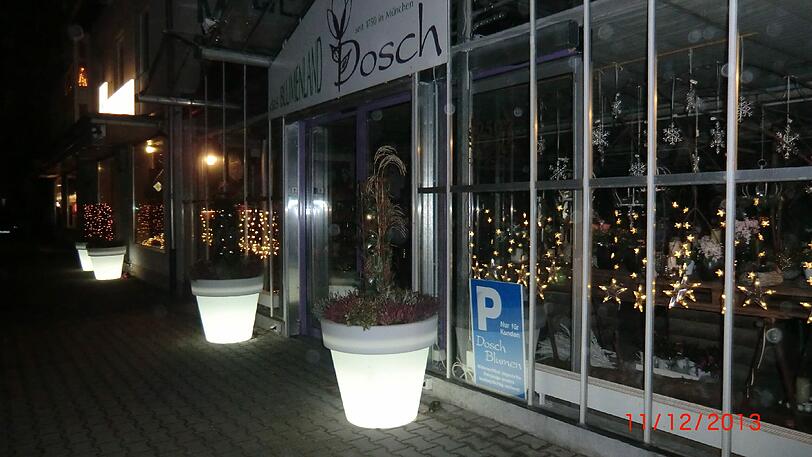 In der Denninger Hauptstraße (Ostpreussenstraße): Wunderschöner Adventszauber einer Gärtnerei.