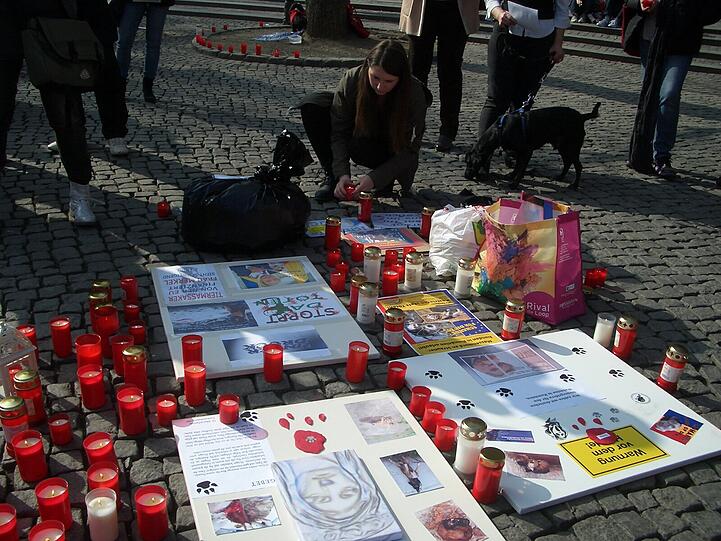 Um die 150 Tierfreunde waren am Rindermarkt, um mit Plakaten, Flyern, Bannern und Gesprächen über die Streunerproblematik und die grausamen Tötungen der Hunde in Rumänien aufzuklären.