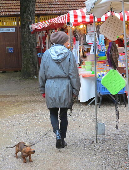 Gassigehen bei Hundewetter.