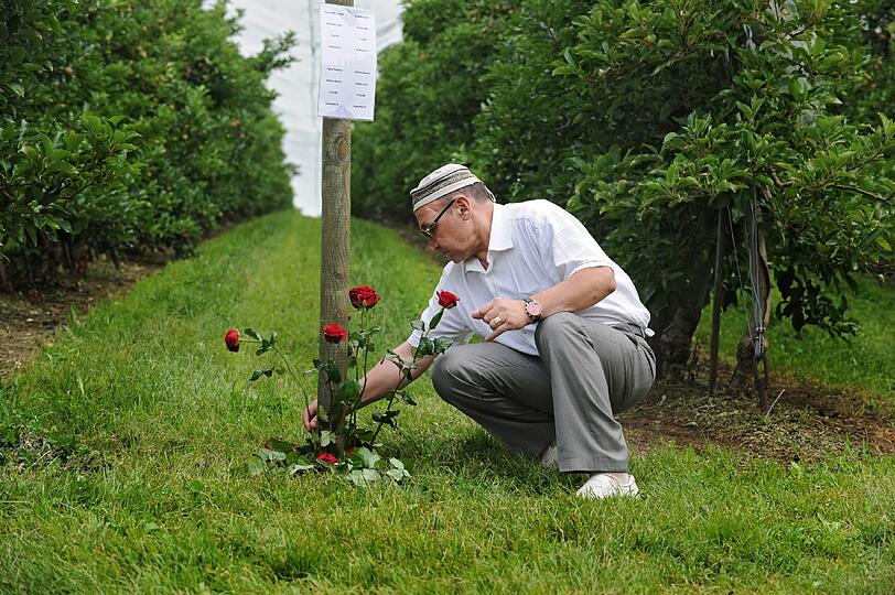 Blumen, Gebete und Kerzen: Angehörige an der Absturzstelle in Überlingen.