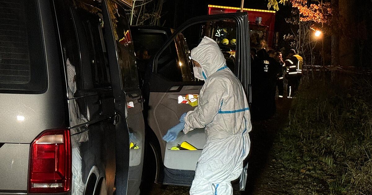 Frauenleiche-in-M-nchner-Wald-entdeckt-Identit-t-der-Toten-weiterhin-ungekl-rt