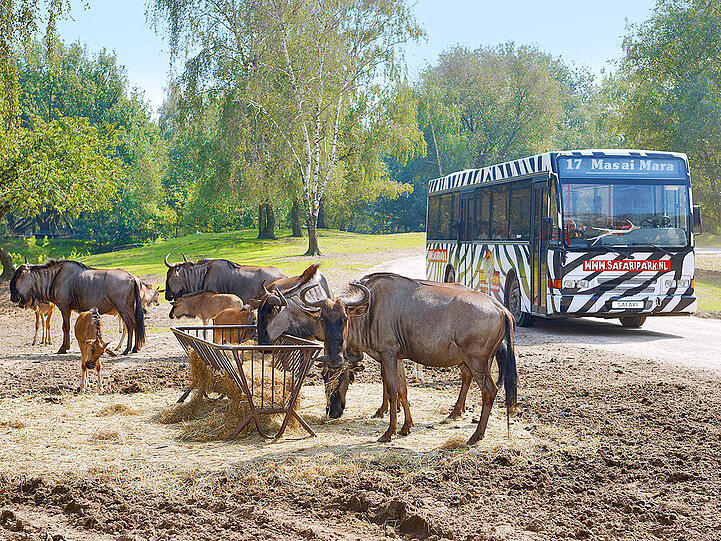 Exotische Tiere in zwei Wildparks in Niedersachen und den Niederlanden