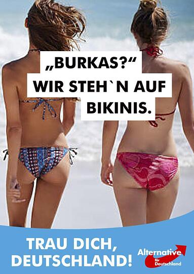 Die Wahlplakate der AfD für den Bundestagswahlkampf 2017.