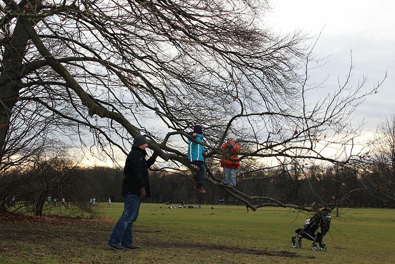 Der Englische Garten im Herbst. Jährlich besuchen mehr als fünf Millionen Menschen den Park.