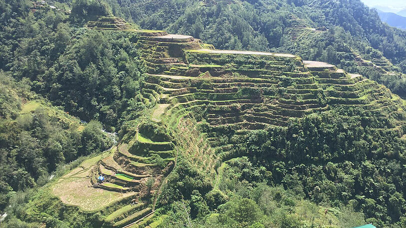 Beeindruckende Landschaft: Die Moderatorin macht einen Ausflug zu den berühmten Reisterrassen von Banaue &ndash; &bdquo;das achte Weltwunder&ldquo;.