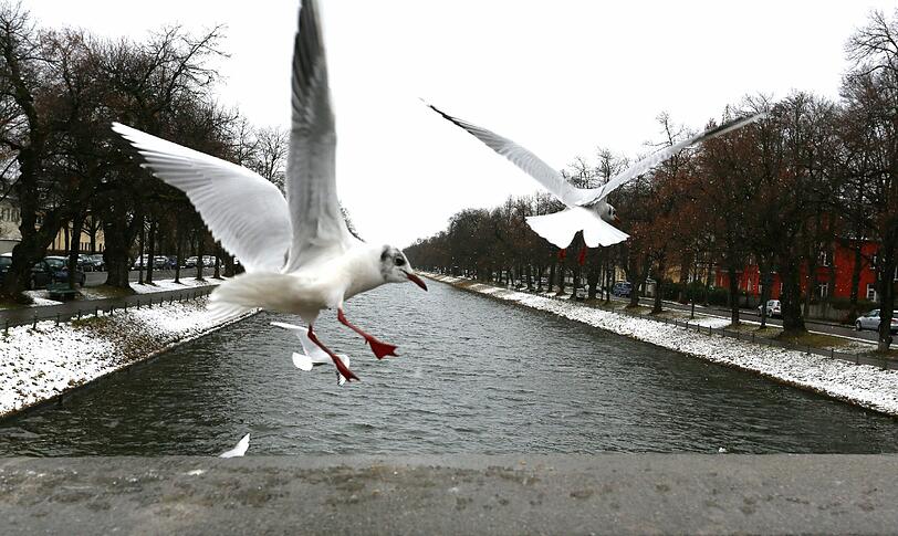 Schnee in München: So schaut's aus, wenn's kalt wird. Die Bilder aus den vergangenen Jahren.