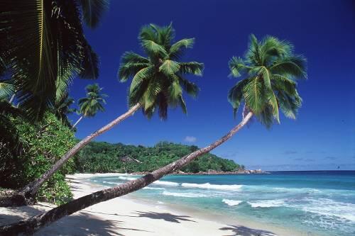 Ein Traumstrand auf den Seychellen