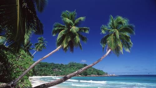 Ein Traumstrand auf den Seychellen Ein Traumstrand auf den Seychellen