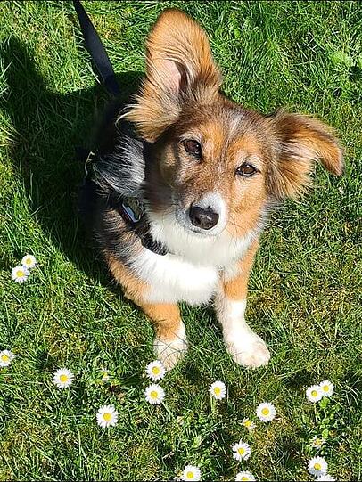 Luka