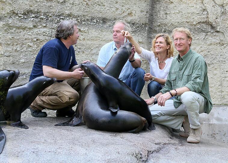 Dort schnappen sie nach Fischen.