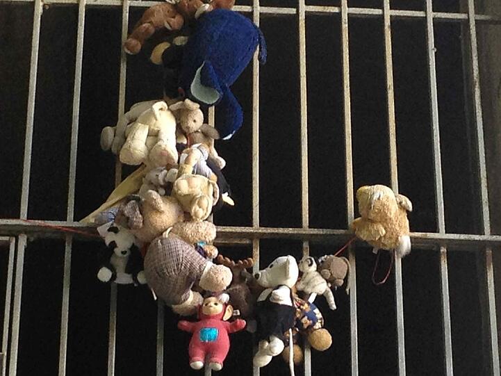 Stofftiere! Warum die da hängen, weiß wohl nur der Witzbold, der sie angebracht hat. Bisschen schräg, diese Installation.