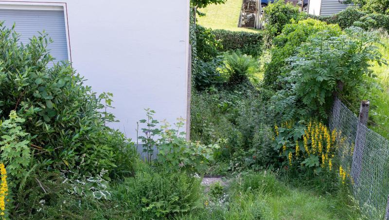 Der Fundort des neugeborenen Mädchens, das dort in einem zugeknoteten Müllsack abgelegt worden war. Der Fundort des neugeborenen Mädchens, das dort in einem zugeknoteten Müllsack abgelegt worden war.
