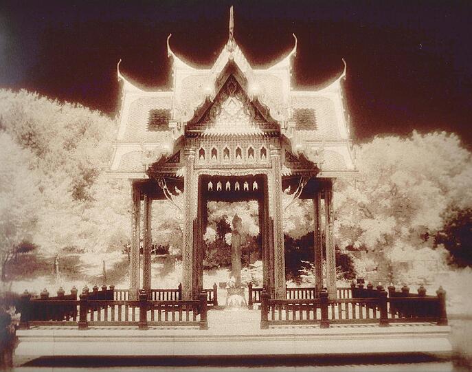 Mit einem Infrarot-Film abgelichtet und dann noch ein nachbearbeitet - so kam das ungewöhnliche Foto der Thai-Sala im Westpark zustande.