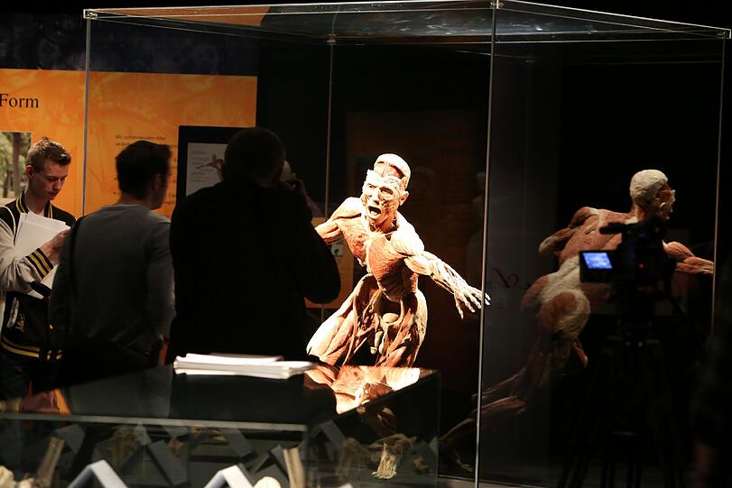 Viel zu sehen gibt es trotzdem. Besucher mustern eines der Ausstellungsstücke.
