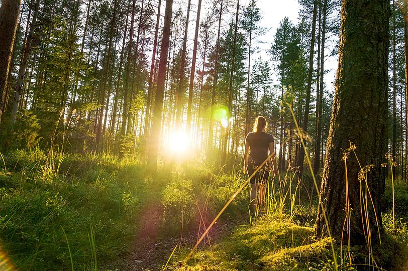 Waldbaden besteht nicht nur im stillen Verharren und Fühlen, die Bewegung durch den Wald gehört durchaus dazu. Besonders im Gegensatz zum Sonntagsspaziergang im Wald sind dabei Ziellosigkeit und Geschwindigkeit ... Waldbaden besteht nicht nur im stillen Verharren und Fühlen, die Bewegung durch den Wald gehört durchaus dazu. Besonders im Gegensatz zum Sonntagsspaziergang im Wald sind dabei Ziellosigkeit und Geschwindigkeit ...
