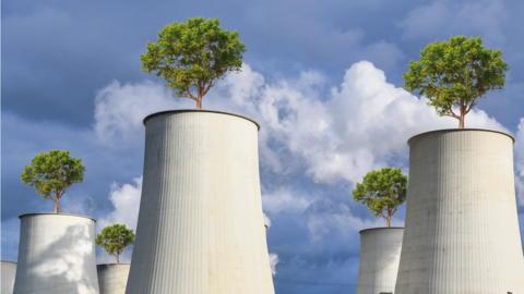 Die AZ-Montage zeigt Bäume, die aus einem Braunkohlekraftwerk wachsen. So dreist werben beispielsweise Energiekonzerne nicht für sich &ndash; doch viele geben sich große Mühe, als besonders umweltfreundlich zu gelten &ndash; manchmal auch durch Greenwashing.