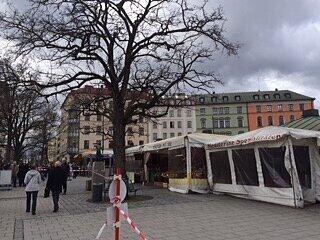Wegen Sturm "Niklas" gesperrt: Auf dem Viktualienmarkt mussten Standl schließen, die sich unmittelbarer Nähe zum Maibaum befinden.