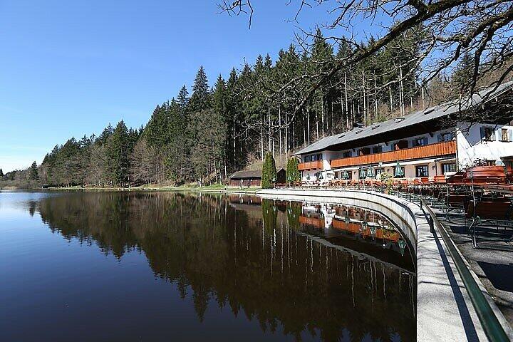 Der Deininger Weiher und der Ismaninger Taxetweiher sind derzeit mit Bakterien verseucht. (Archiv)