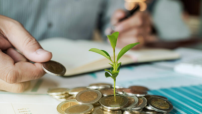 Grünes Investment lohnt sich. Grünes Investment lohnt sich.