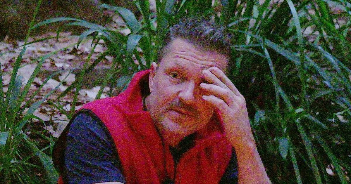 Dschungelcamp-Die-Promis-sprechen-ber-ihre-d-stersten-Kapitel